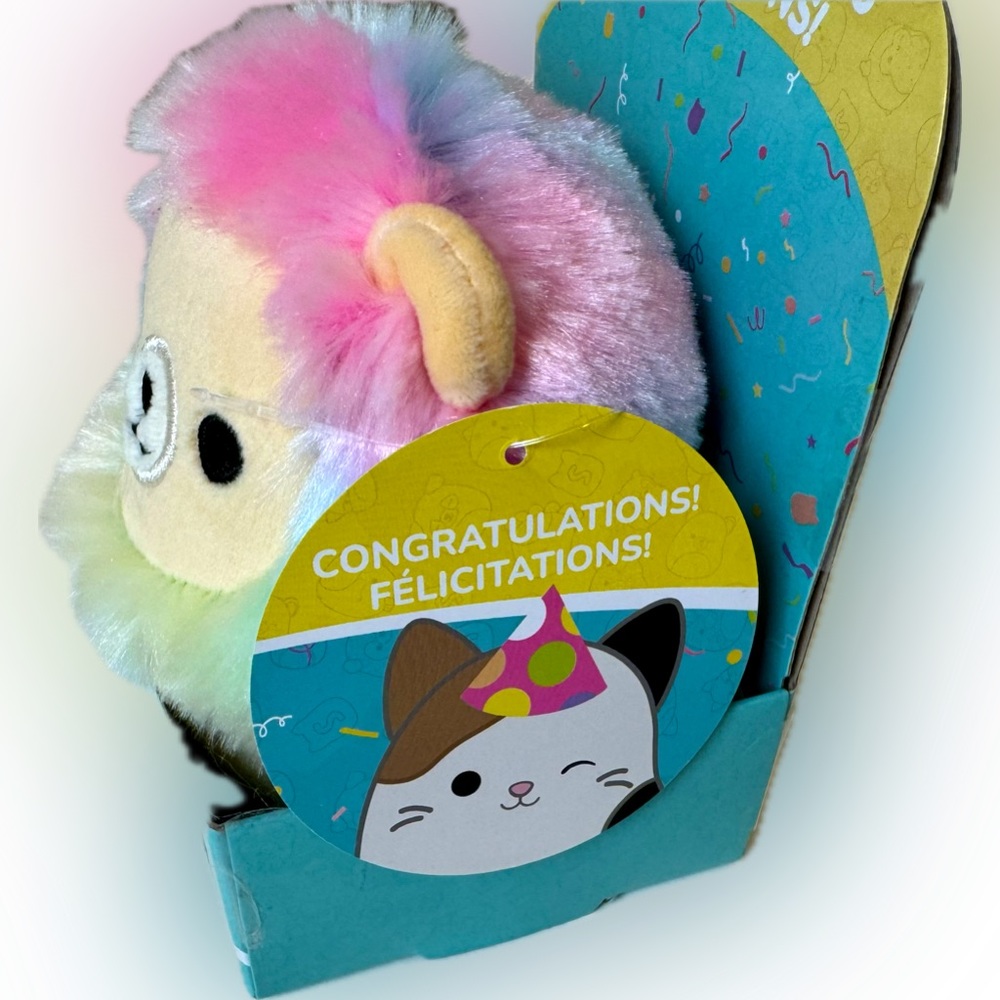 Squishmallows Occasions Happy Birthday Cato & Congratulations Leonard - Picture 4 of 8